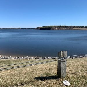 Meet your Posher, Paige